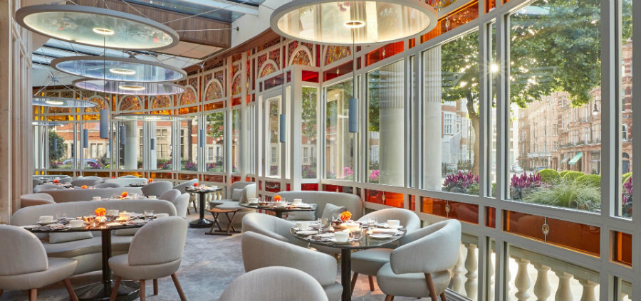 Best interior Designers